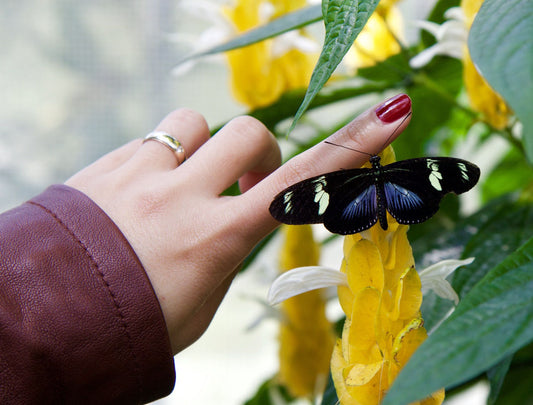 Fashion Rings to Match Your Nail Color